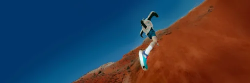 the north face enchanted tails