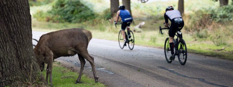 Duathlon Richmond Park