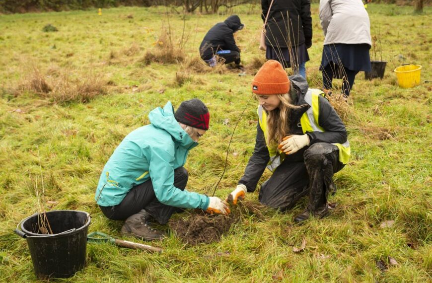 Young people planting trees