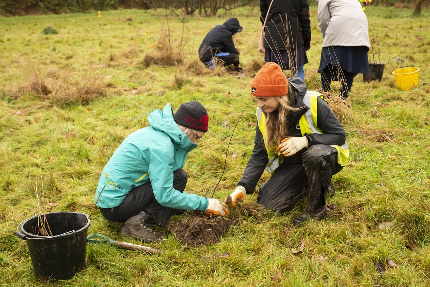 Young people planting trees