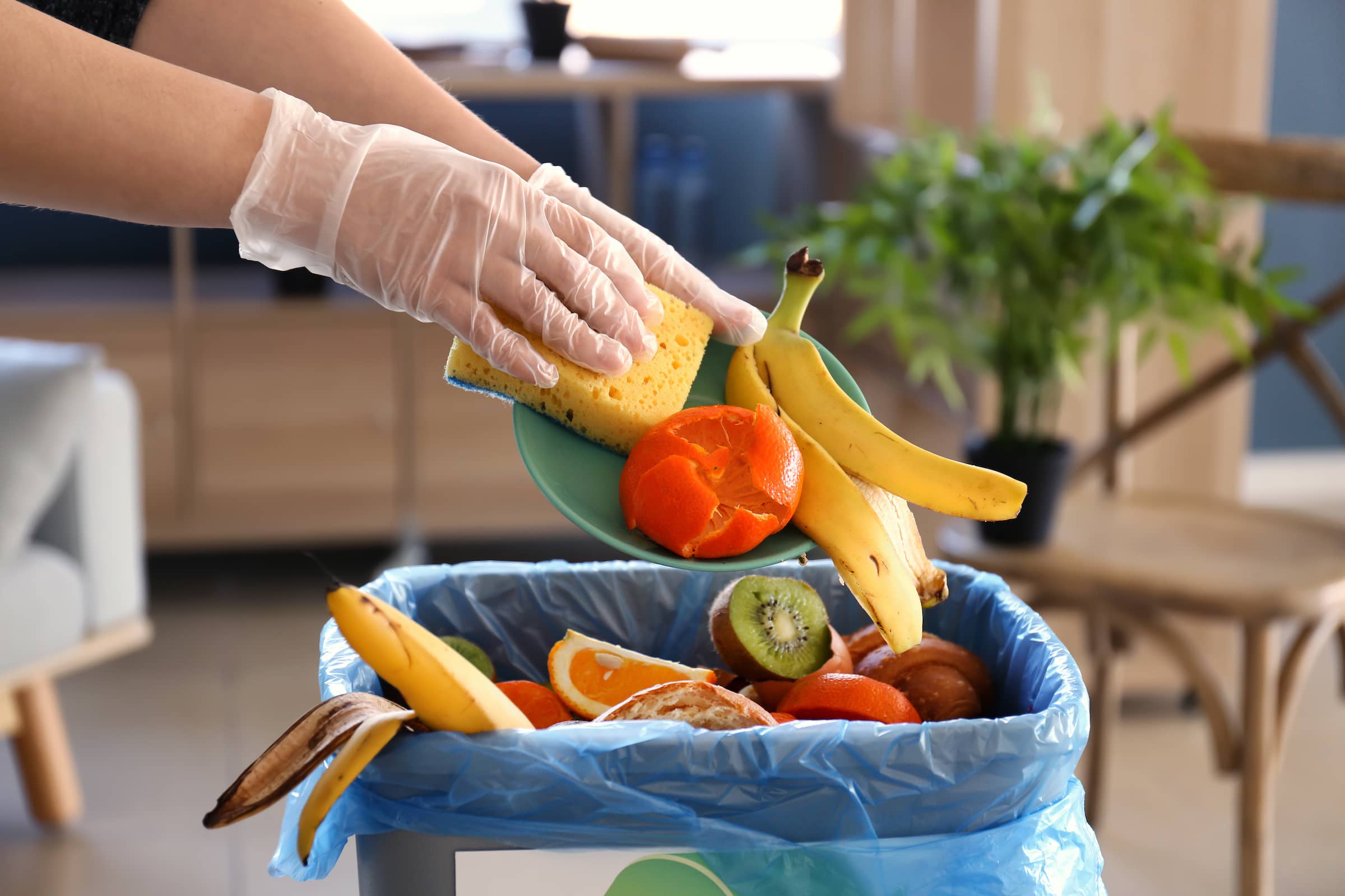 Person throwing garbage into trash bin