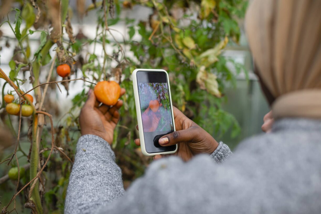 93 percent admit it makes them feel proud when their gardening generates likes and comments across their social media pages