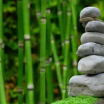3 Tips for Launching a Successful Wellness Retreat Brand Online