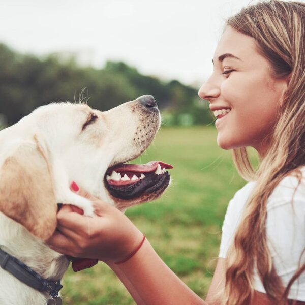 girl with a beautiful dog in a park on green grass.