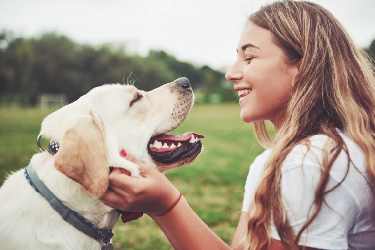 girl with a beautiful dog in a park on green grass.