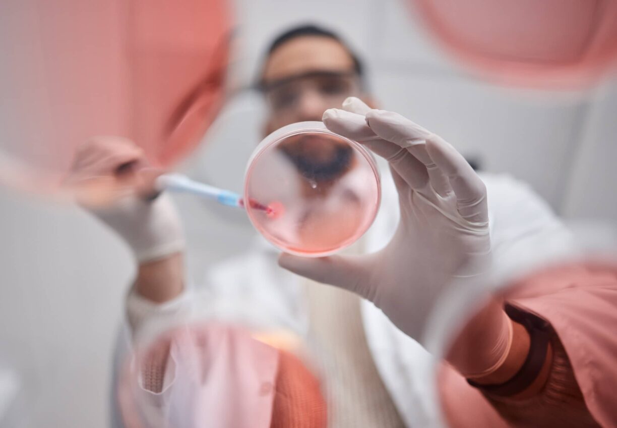 petri dish and pharma test worker man working on science research in a laboratory