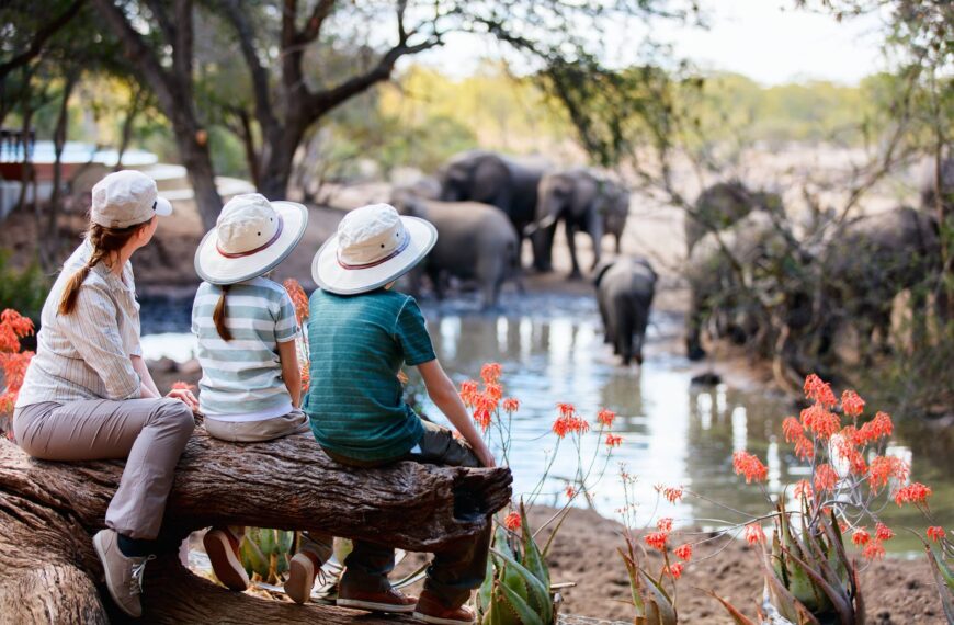 Family safari