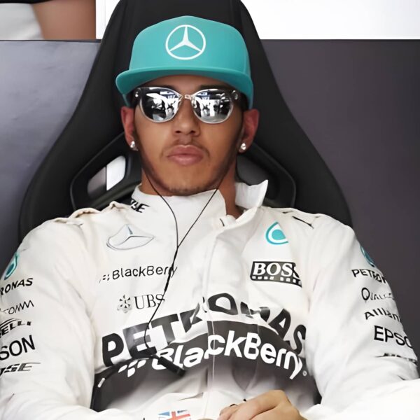 Lewis Hamilton in 2019