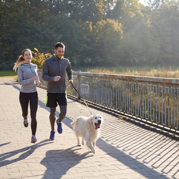 Top Tips for Running with Your Dog: Achieve…