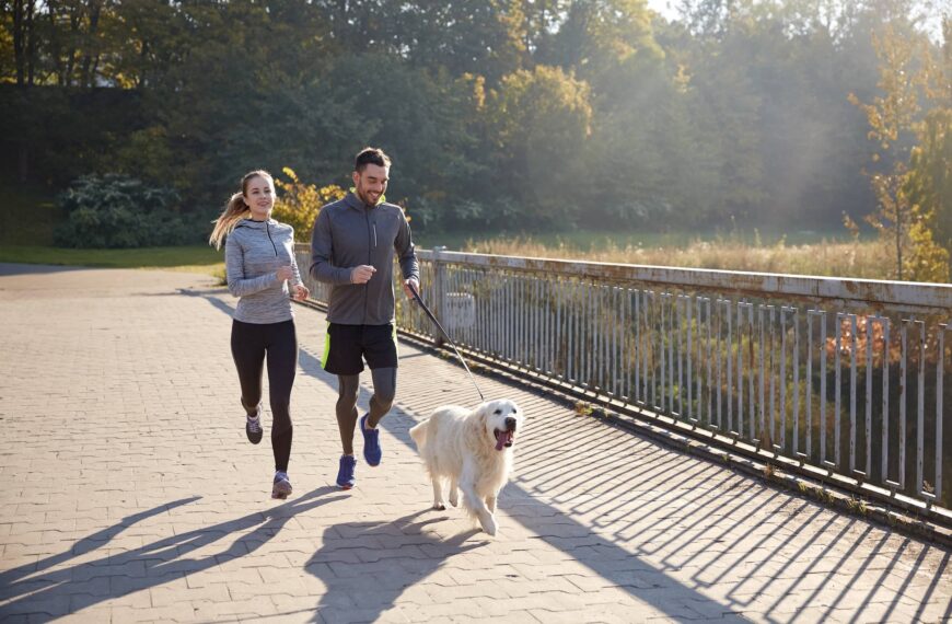 couple with dog running outdoors