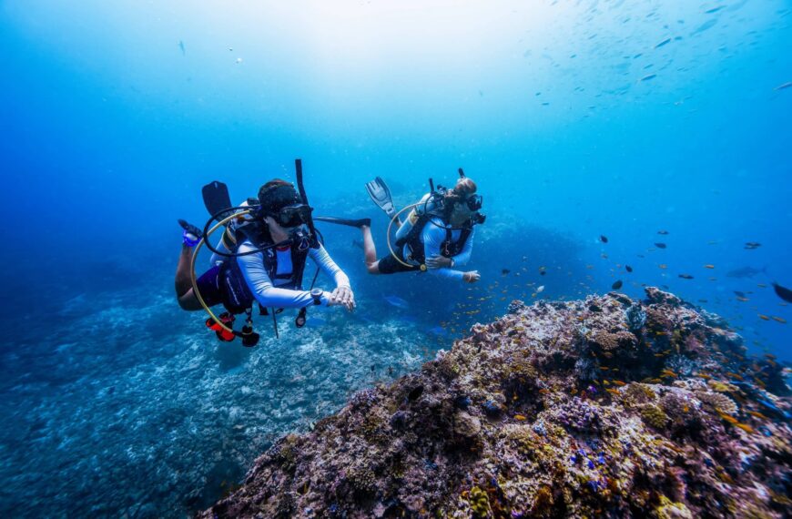 Divers in the Maldives Nova