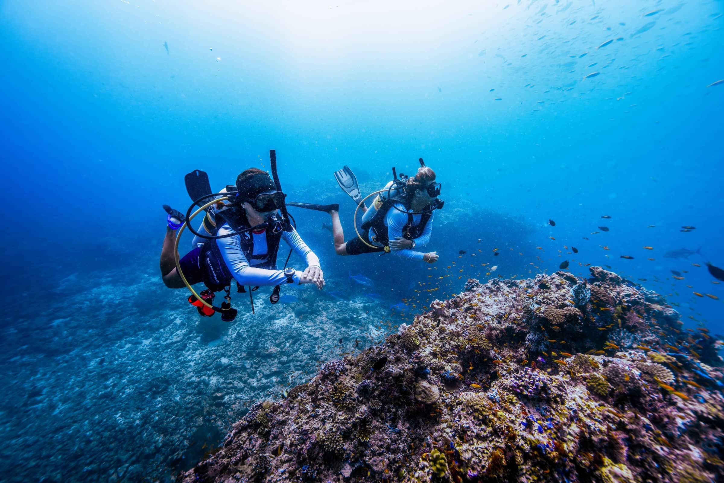 Divers in the Maldives Nova