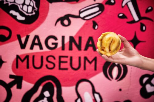 Vagina Museum Vulvanada