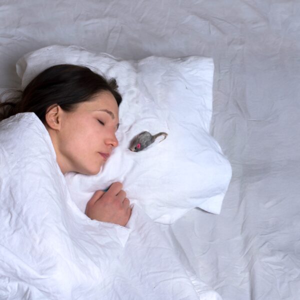 Woman sleeps with mouse on pillow next to her