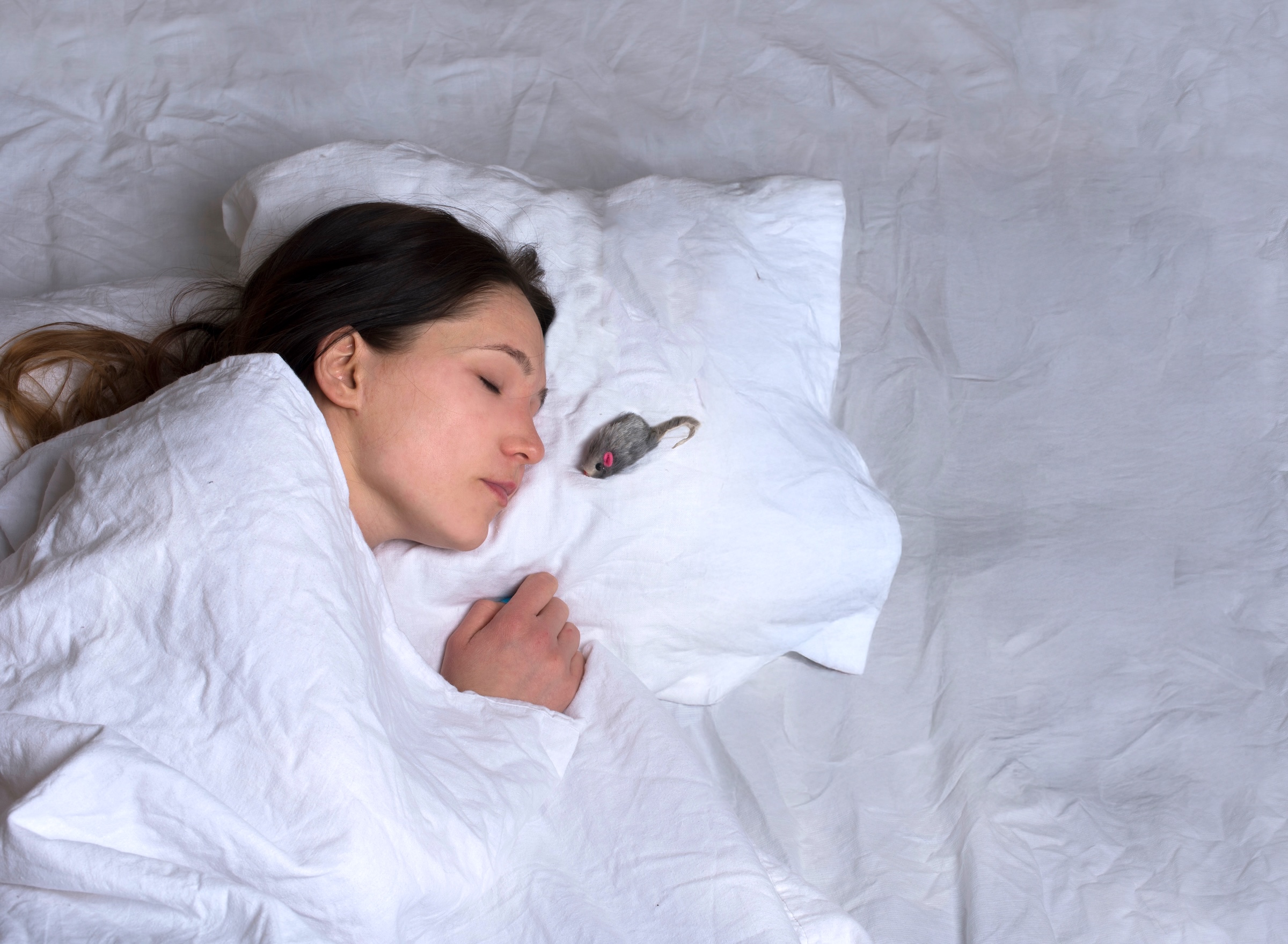 Woman sleeps with mouse on pillow next to her