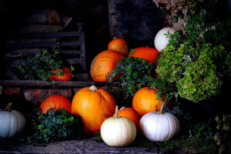 Mix of large pumpkins