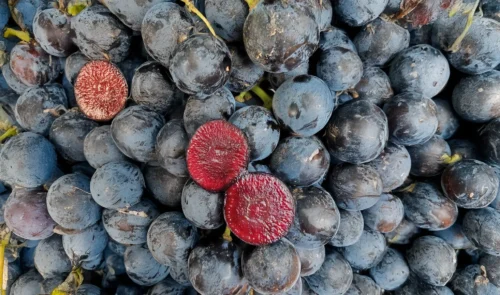 Red Berry Grapes