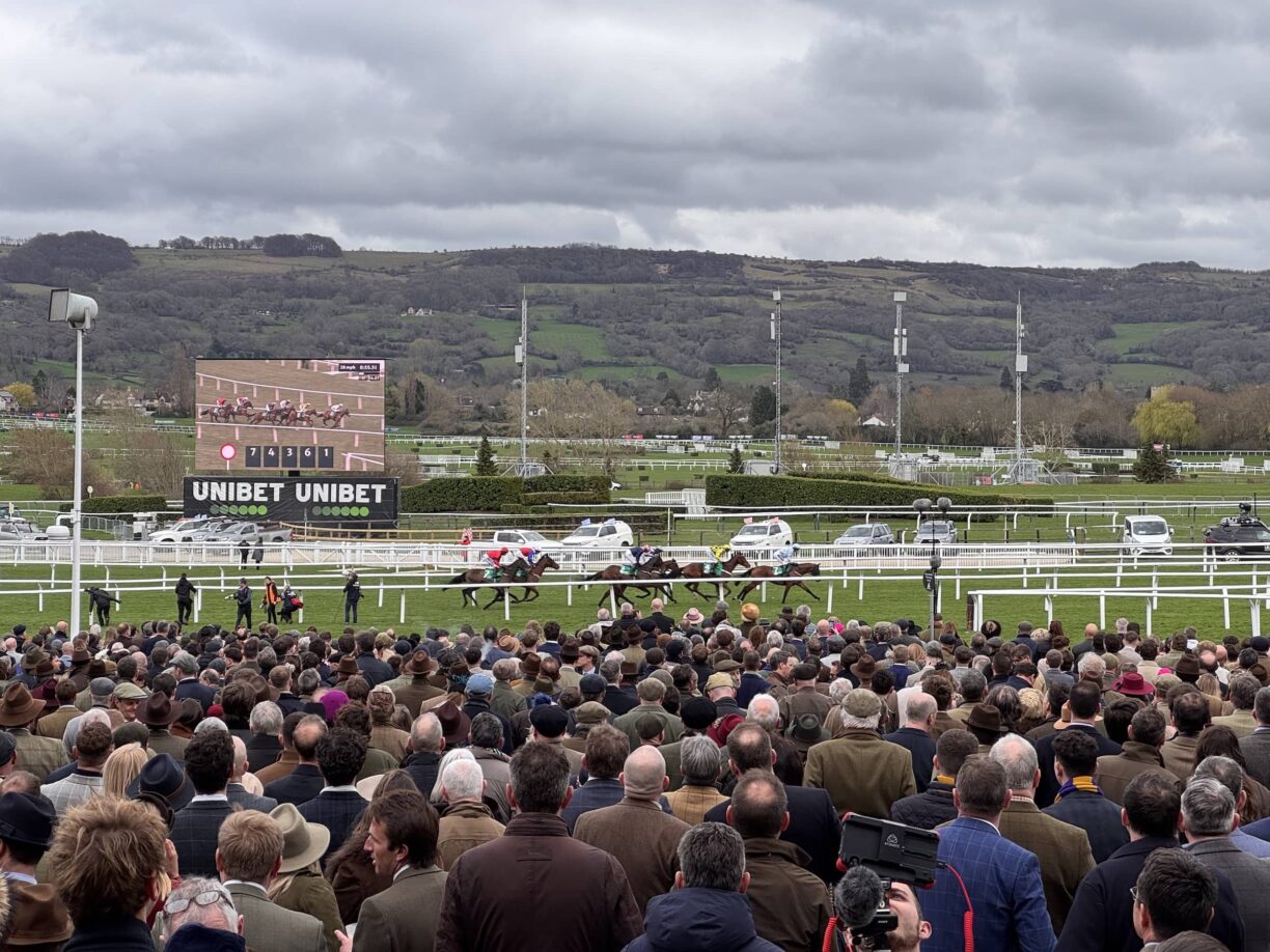 The 2026 Cheltenham Festival Race