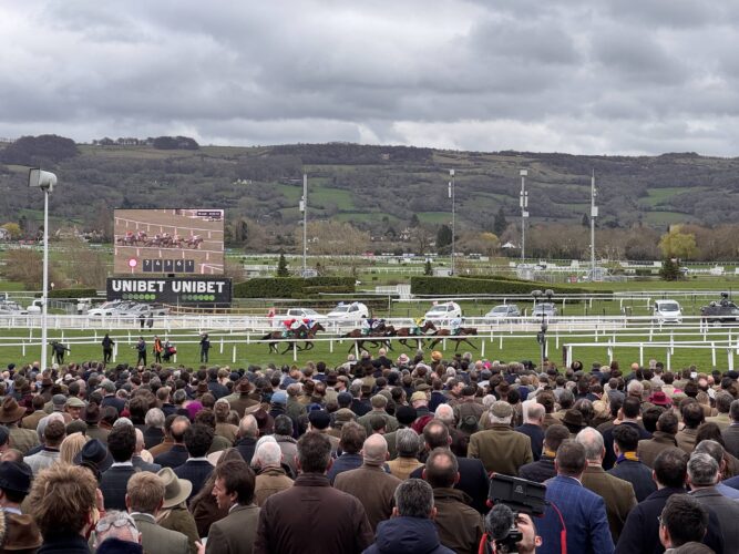 The 2026 Cheltenham Festival Race