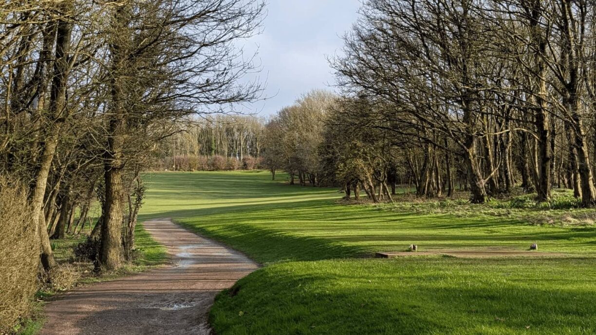 Came Tee Box