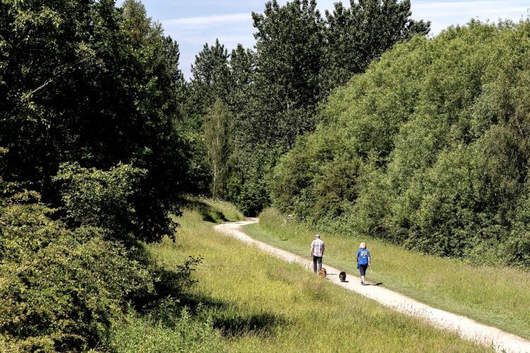 Walkers walking their dog