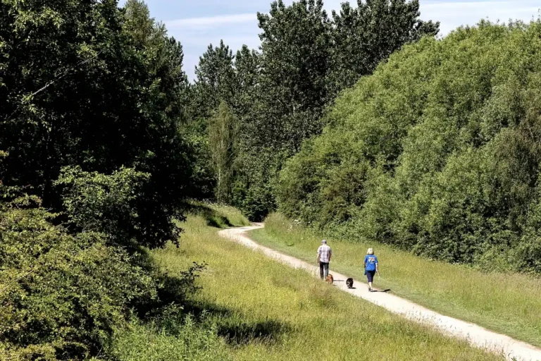 walkers-walking-dog