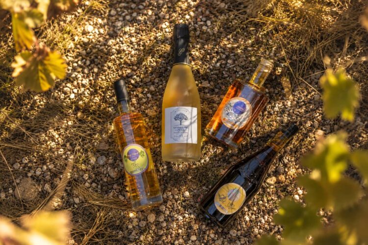 Norman Soul Wine Bottles