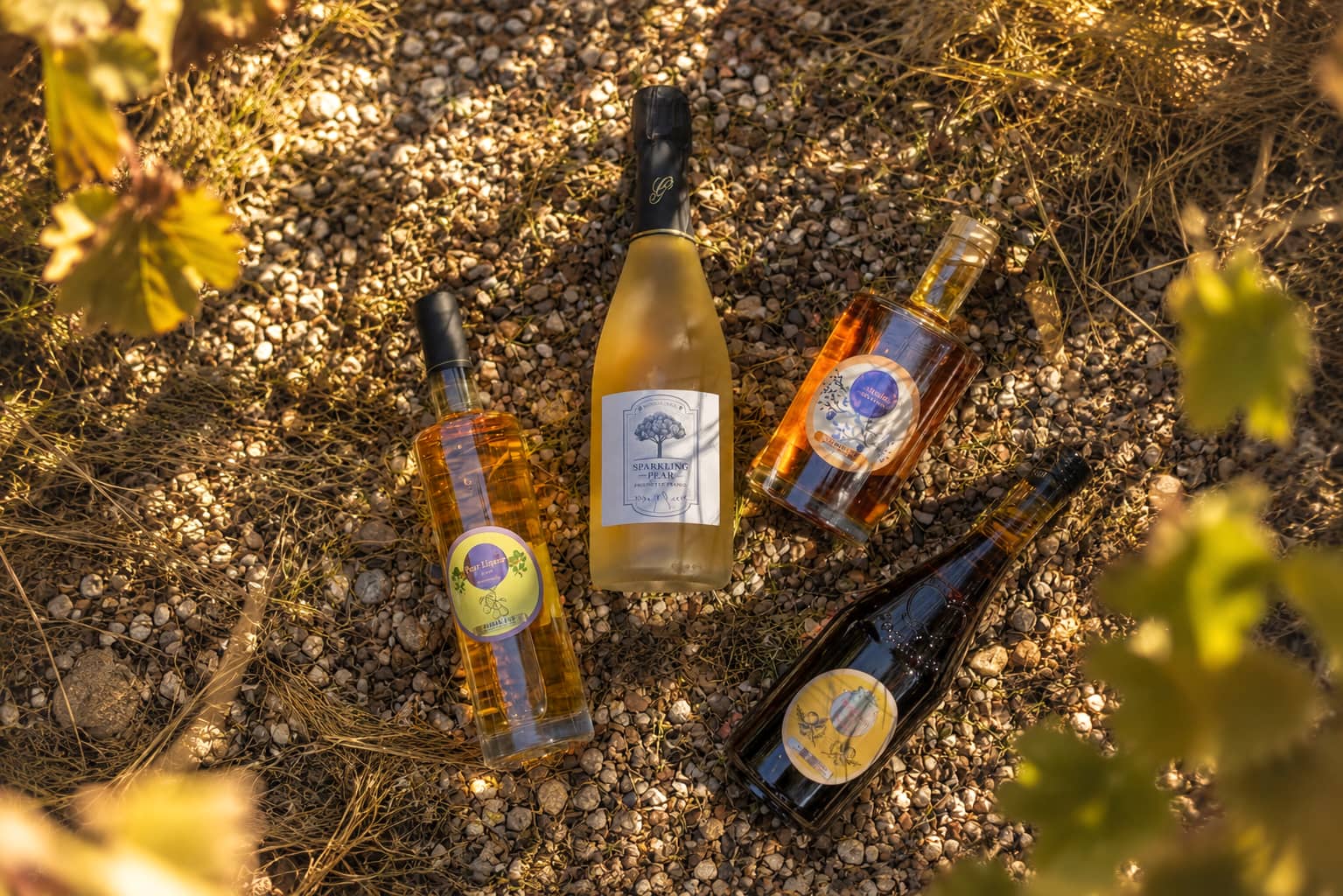 Norman Soul Wine Bottles