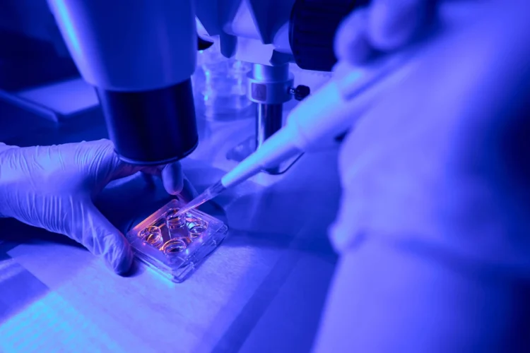 Embriologist putting sperm sample to examine under microscope