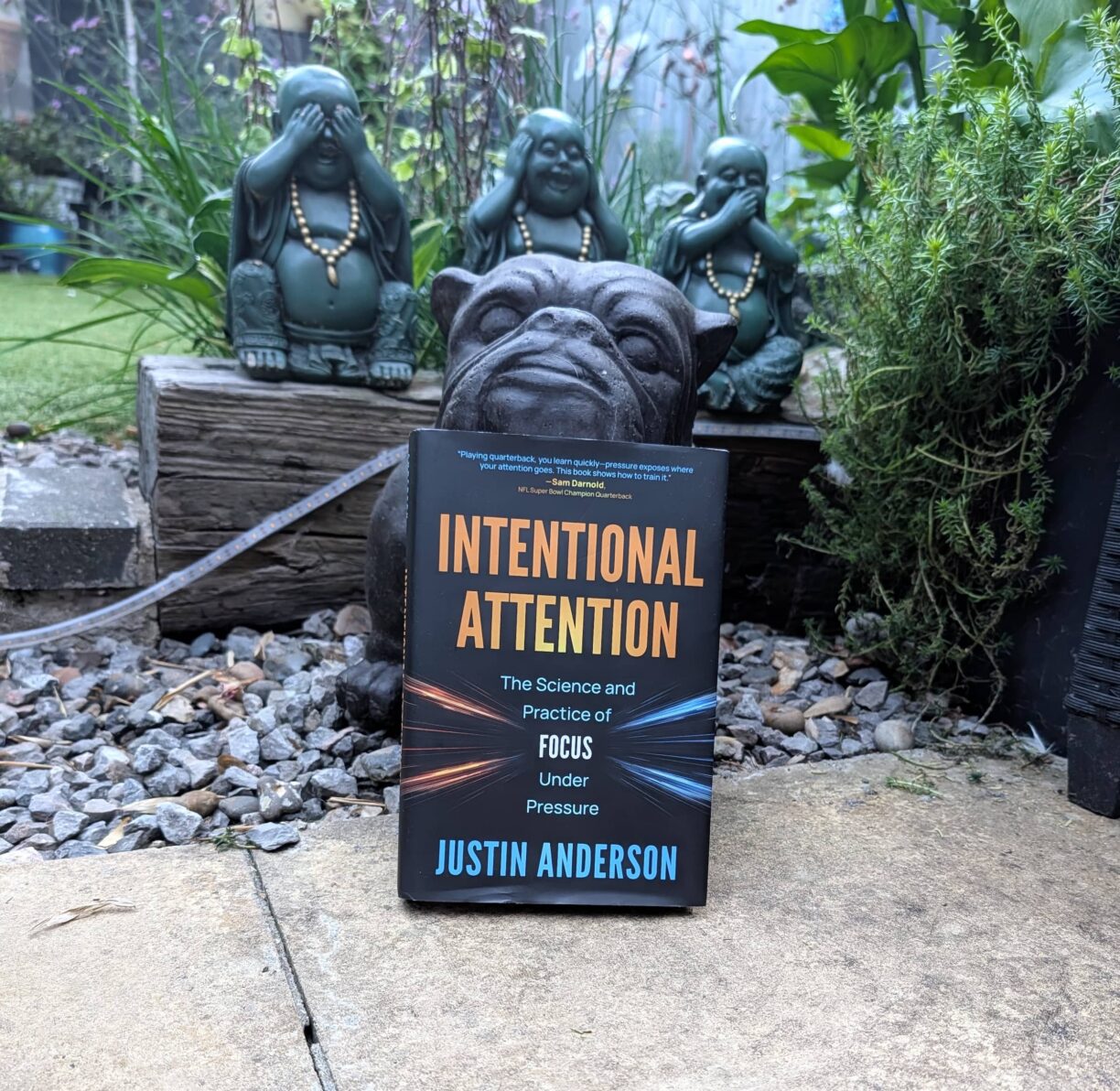 Intentional Attention Justin Anderson Book