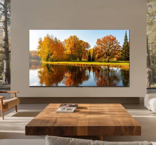 TCL Television Screen