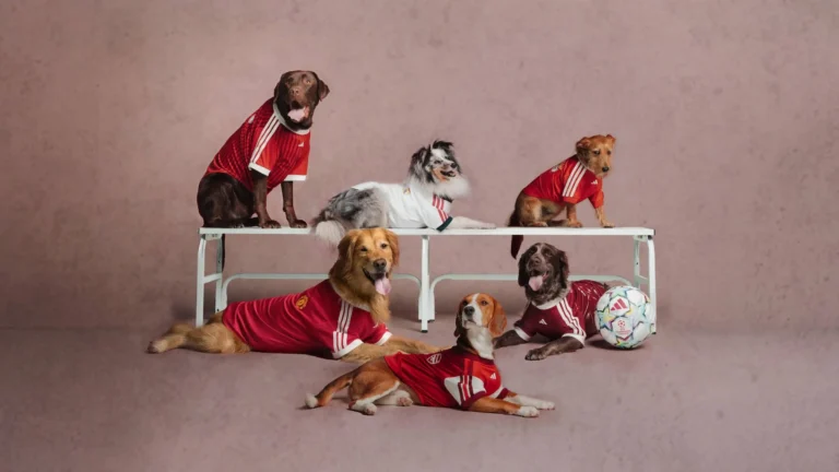 adidas Clubs Pet Collection