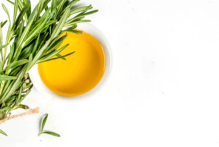 Herbs and spices. Rosemary and olive oil on white background,